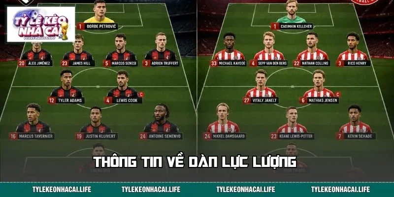 Thông tin về dàn lực lượng