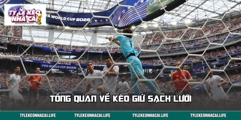 Tổng quan về kèo giữ sạch lưới
